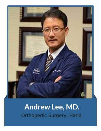 Andrew Lee MD